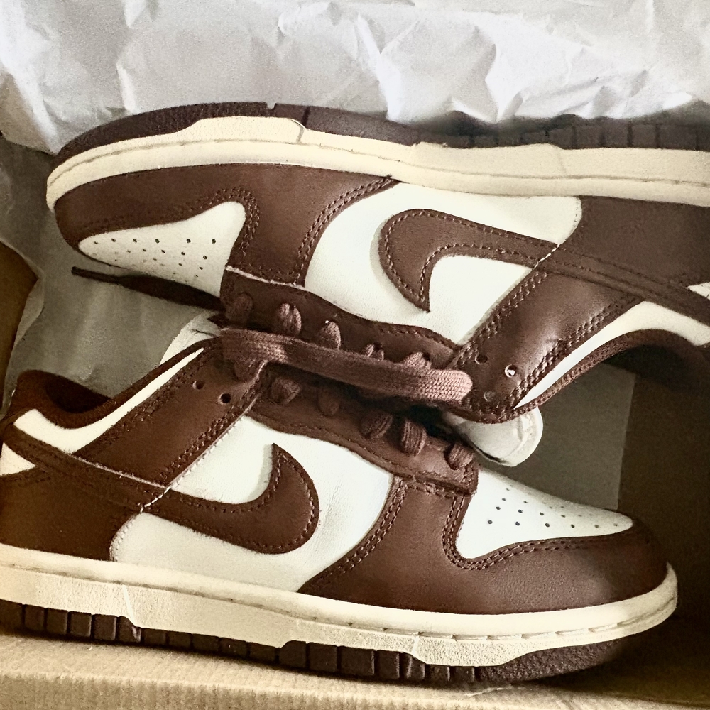 Nike Dunks Brown and White Sneakers